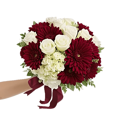 Blushing Rose Symphony