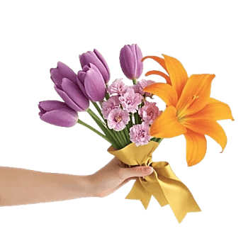 Blossom Harmony Display