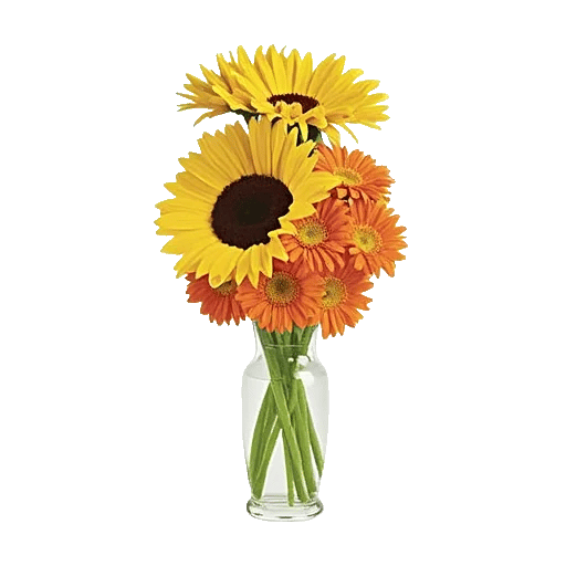 Radiant Bloom Cascade