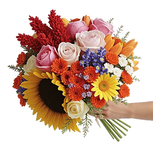 Petal Radiance Bliss