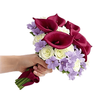 Elegant Calla Lilies