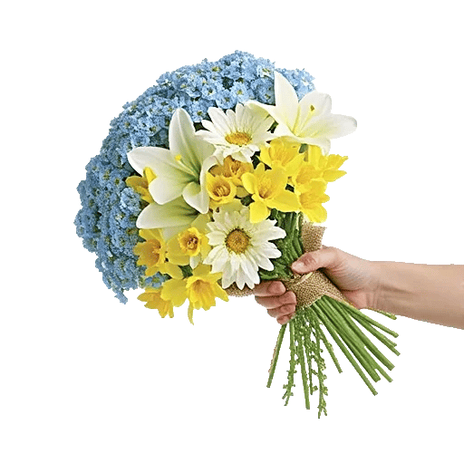 Blossom Petal Serenity