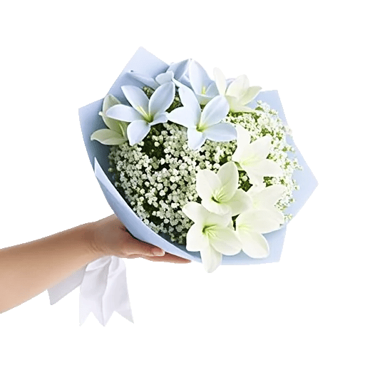 Blossom Petal Serenity