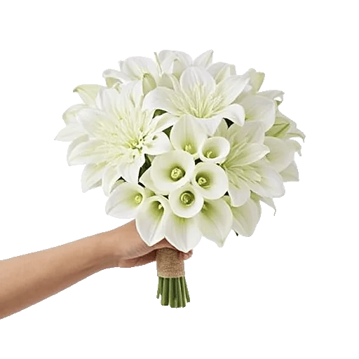 Elegant Calla Lilies