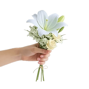 Graceful Lily Display