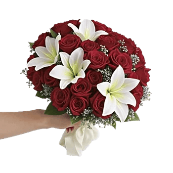 Blushing Rose Symphony