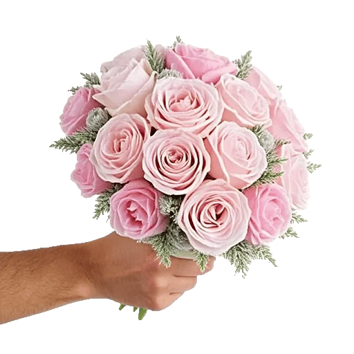Pastel Pink Roses