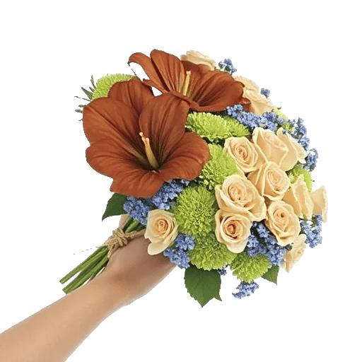 Petal Softness Display