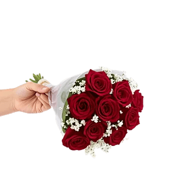 Crimson Rose Elegance