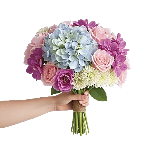 Serene Petal Harmony