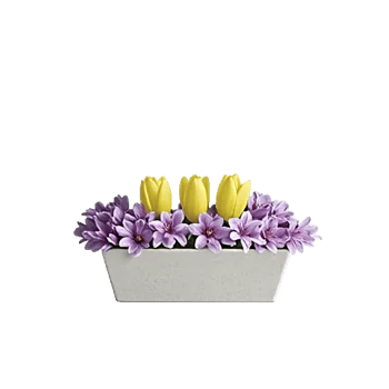 Blossom Harmony Display