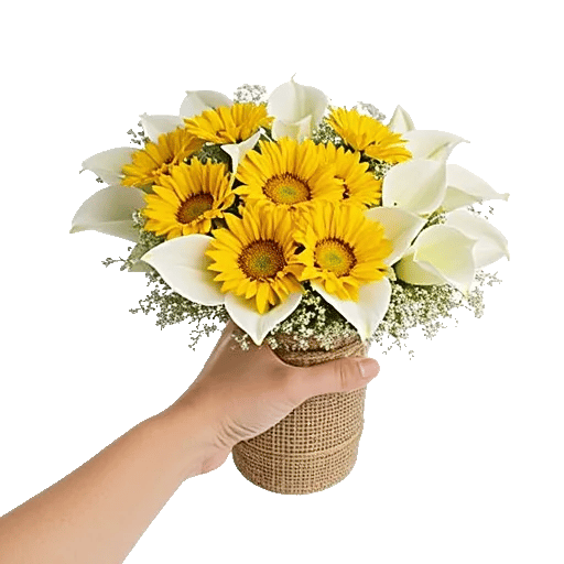 Bright Cheerful Sunflowers