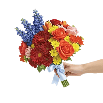 Blushing Rose Symphony