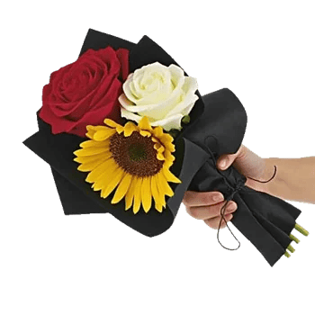 Radiant Rose Symphony