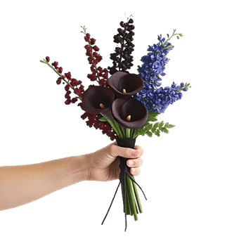 Elegant Calla Lilies
