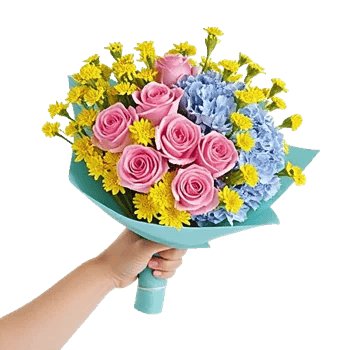 Serene Petal Harmony