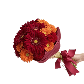 Crimson Blossom Harmony