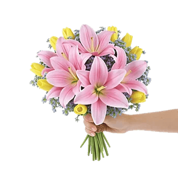 Blossom Harmony Display