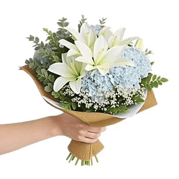 Serene Petal Harmony