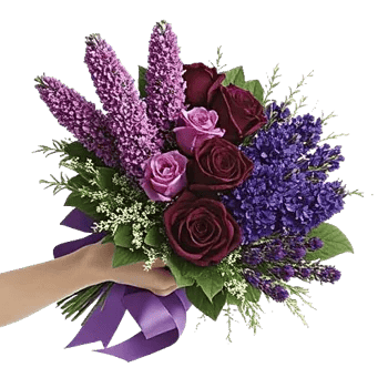 Lavender Bloom Grace