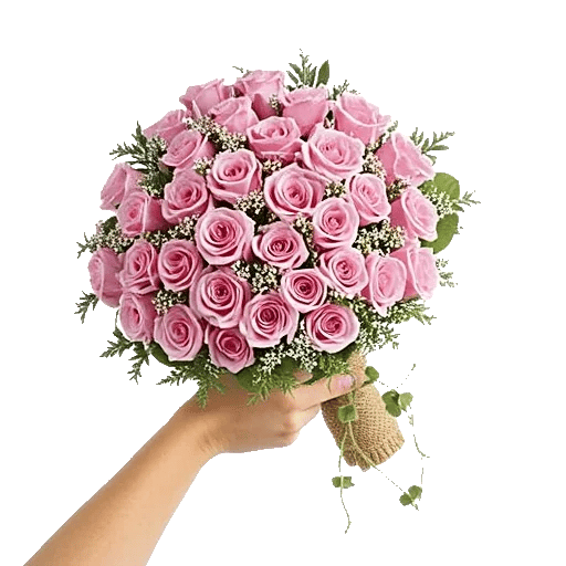 Blushing Rose Symphony