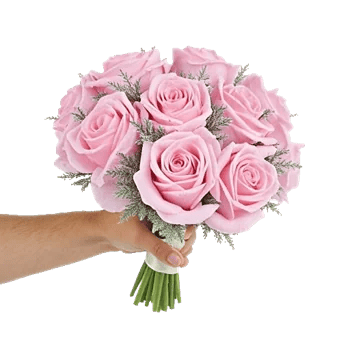 Pastel Pink Roses