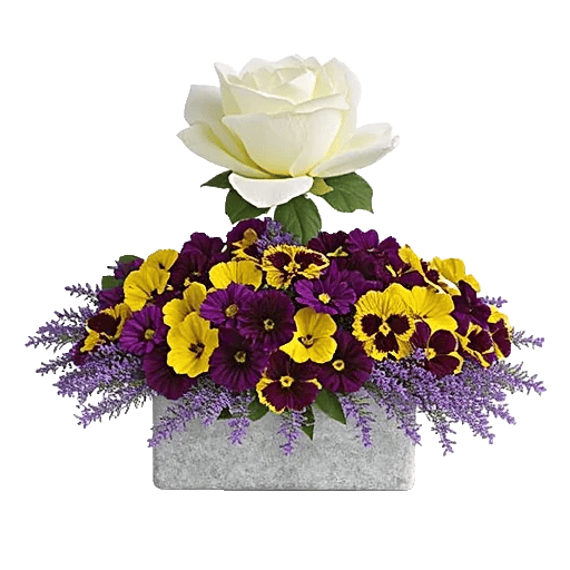 Delicate Petal Cascade