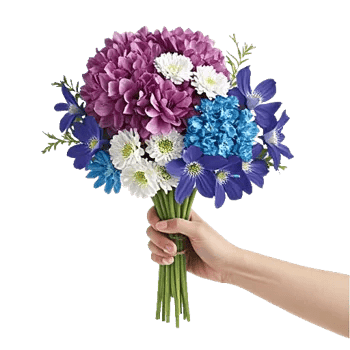 Sapphire Bloom Whisper