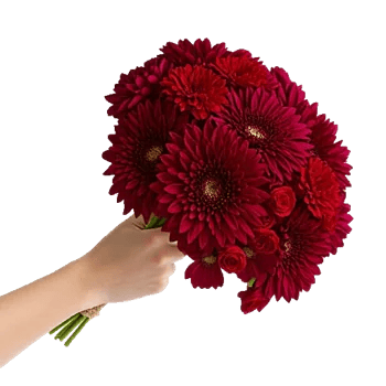 Ruby Petal Cascade