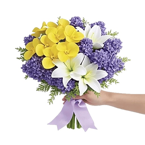 Serenity Orchid Bloom