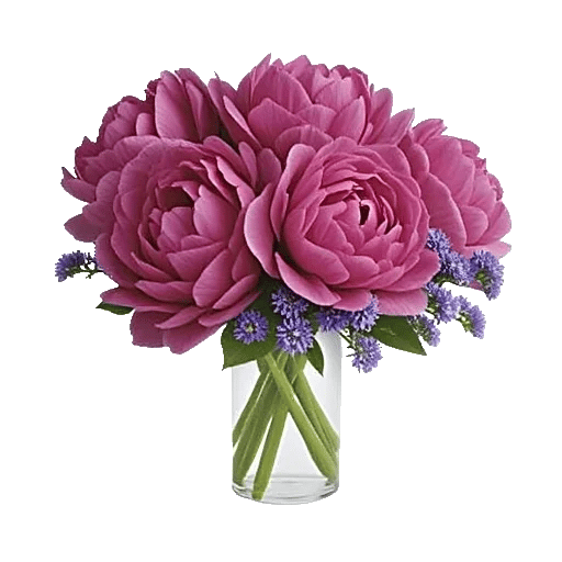 Petal Radiance Bliss