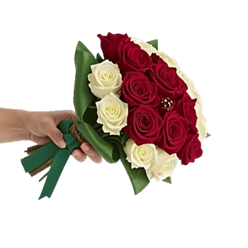 Crimson Rose Elegance