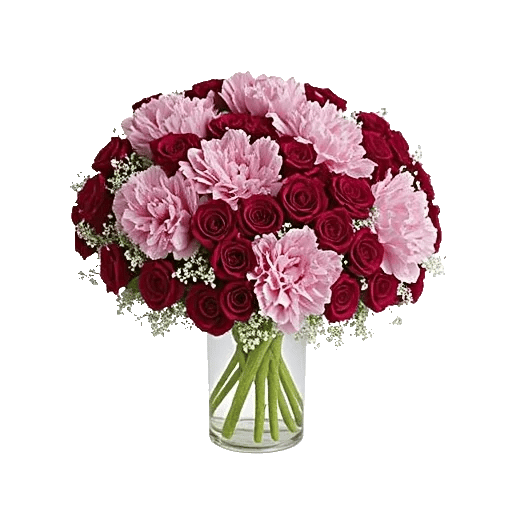 Pink Pastel Roses