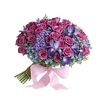 Blossom Petal Serenity