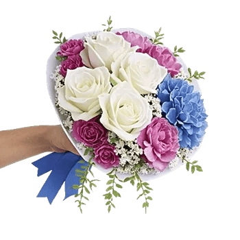 Ivory Blossom Radiance