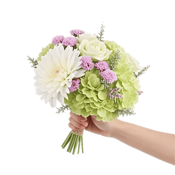 Ivory Blossom Radiance