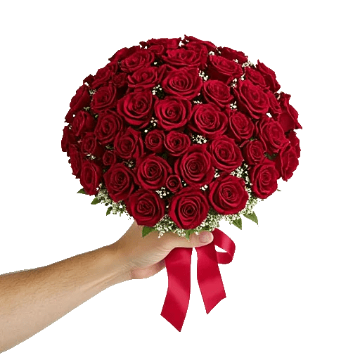 Crimson Rose Elegance