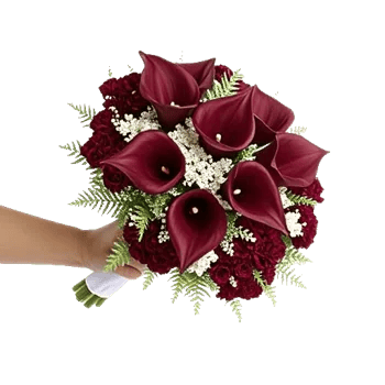 Elegant Calla Lilies