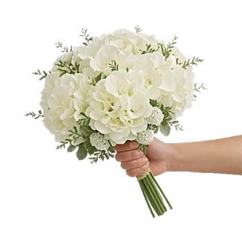 Ivory Garden Grace