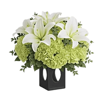 Ivory Blossom Radiance