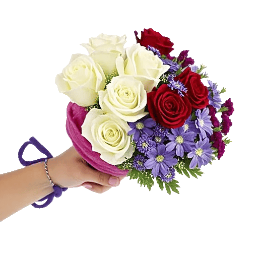 Blushing Rose Symphony