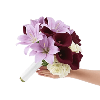 Elegant Calla Lilies