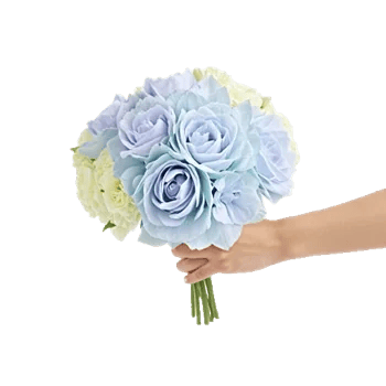 Serene Petal Harmony