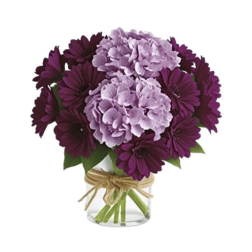 Lavender Bloom Grace