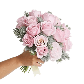 Pastel Pink Roses