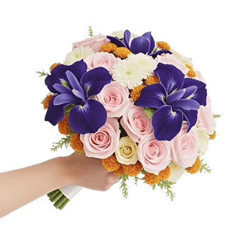 Ivory Blossom Radiance