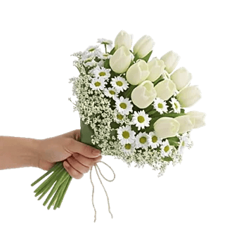 Blossom Harmony Display