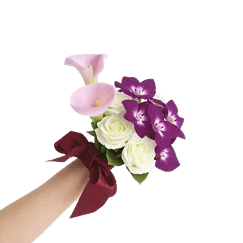 Elegant Calla Lilies
