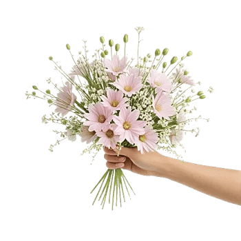 Fresh Meadow Blooms