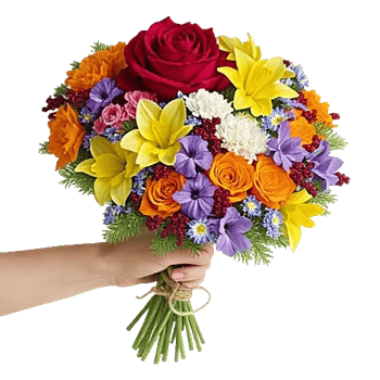 Crimson Rose Elegance